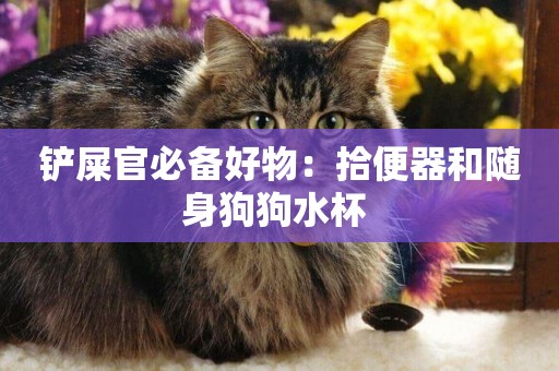 鏟屎官必備好物：拾便器和隨身狗狗水杯 