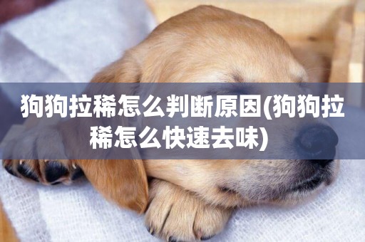 狗狗拉稀怎么判斷原因(狗狗拉稀怎么快速去味) 