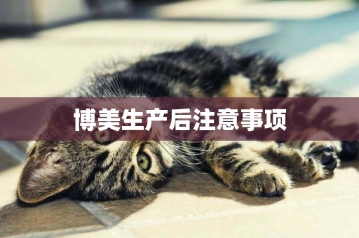 博美生產后注意事項
