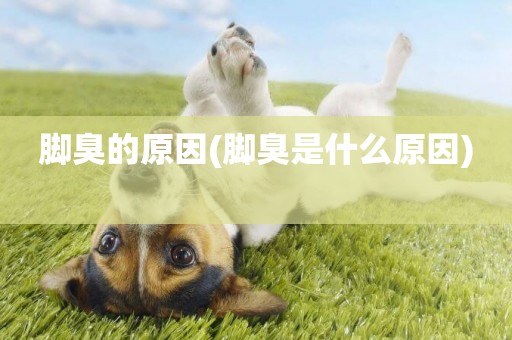 腳臭的原因(腳臭是什么原因) 