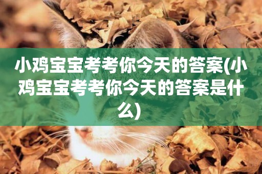 小雞寶寶考考你今天的答案(小雞寶寶考考你今天的答案是什么) 