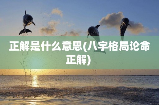 正解是什么意思(八字格局論命正解) 