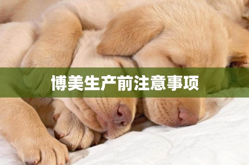 博美生產前注意事項