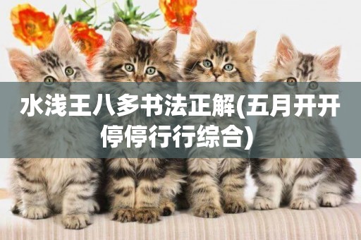 水淺王八多書法正解(五月開開停停行行綜合) 