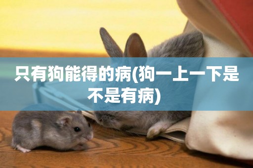 只有狗能得的病(狗一上一下是不是有病) 