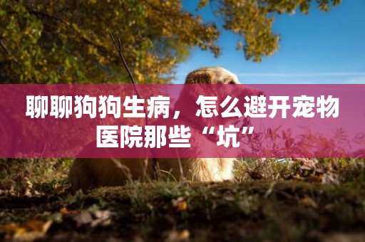 聊聊狗狗生病，怎么避開寵物醫院那些“坑” 