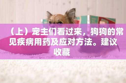 （上）寵主們看過來，狗狗的常見疾病用藥及應對方法。建議收藏 