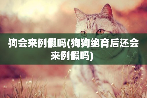 狗會來例假嗎(狗狗絕育后還會來例假嗎) 