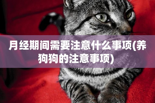 月經期間需要注意什么事項(養狗狗的注意事項) 