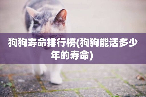 狗狗壽命排行榜(狗狗能活多少年的壽命) 