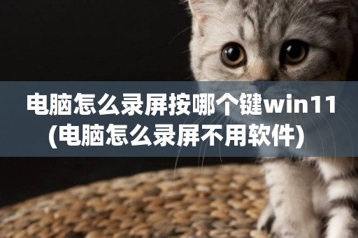 電腦怎么錄屏按哪個鍵win11(電腦怎么錄屏不用軟件) 