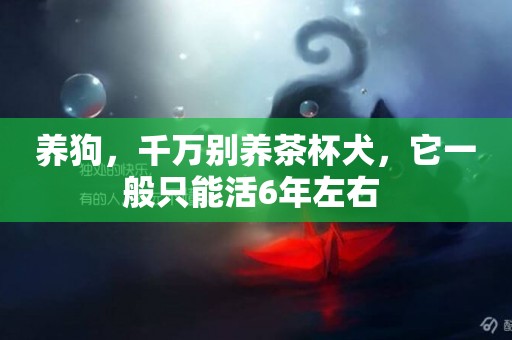 養狗，千萬別養茶杯犬，它一般只能活6年左右 