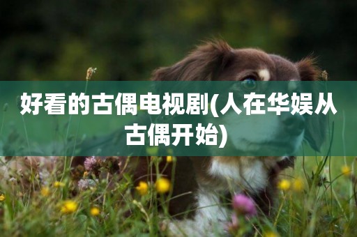 好看的古偶電視劇(人在華娛從古偶開始) 