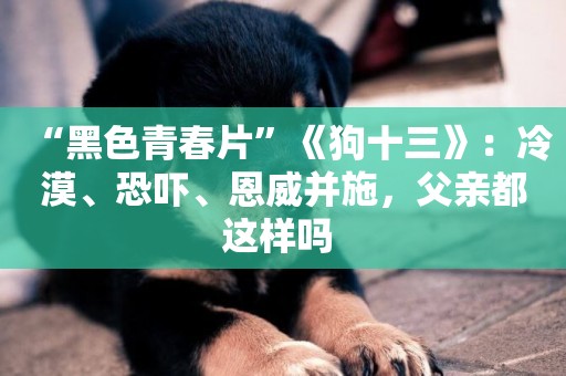 “黑色青春片”《狗十三》：冷漠、恐嚇、恩威并施，父親都這樣嗎 