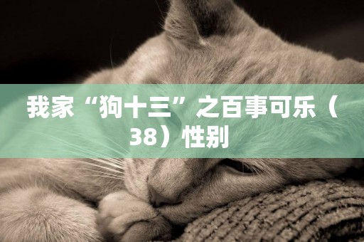 我家“狗十三”之百事可樂（38）性別 
