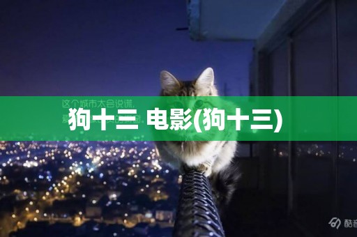 狗十三 電影(狗十三) 