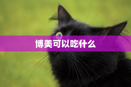 博美可以吃什么