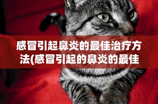 感冒引起鼻炎的最佳治療方法(感冒引起的鼻炎的最佳治療方法) 