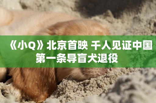 《小Q》北京首映 千人見證中國第一條導盲犬退役 