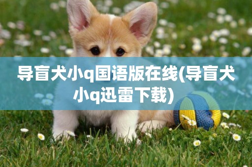 導盲犬小q國語版在線(導盲犬小q迅雷下載) 
