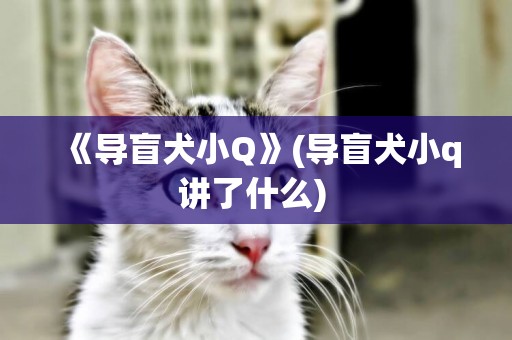 《導盲犬小Q》(導盲犬小q講了什么) 
