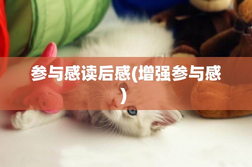 參與感讀后感(增強參與感) 