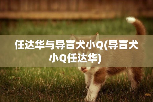 任達華與導盲犬小Q(導盲犬小Q任達華) 