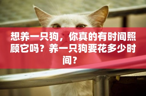 想養一只狗，你真的有時間照顧它嗎？養一只狗要花多少時間？ 