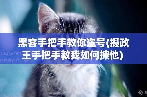 黑客手把手教你盜號(攝政王手把手教我如何撩他) 