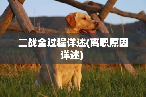 二戰全過程詳述(離職原因詳述) 