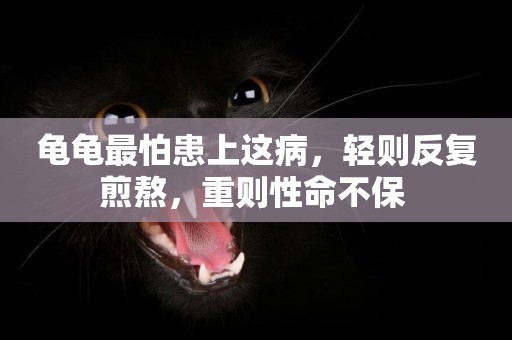 龜龜最怕患上這病，輕則反復煎熬，重則性命不保 