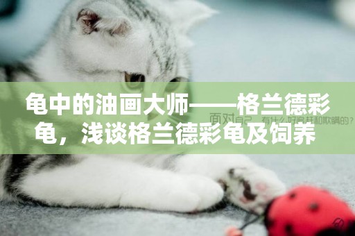 龜中的油畫大師——格蘭德彩龜，淺談格蘭德彩龜及飼養 