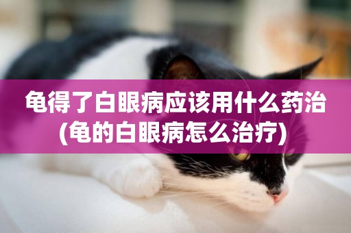 龜得了白眼病應該用什么藥治(龜的白眼病怎么治療) 