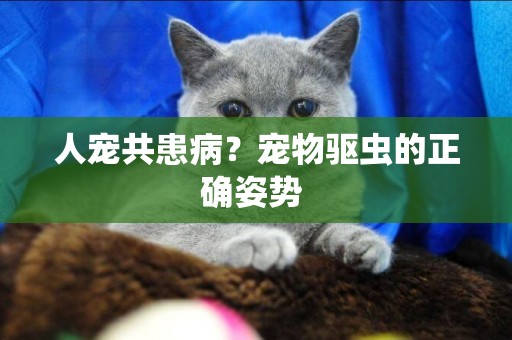 人寵共患病？寵物驅蟲的正確姿勢 