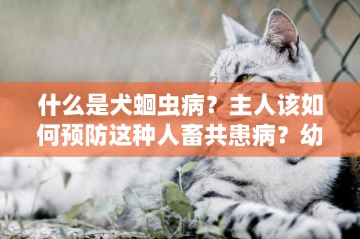 什么是犬蛔蟲病？主人該如何預防這種人畜共患病？幼犬是高發群體 