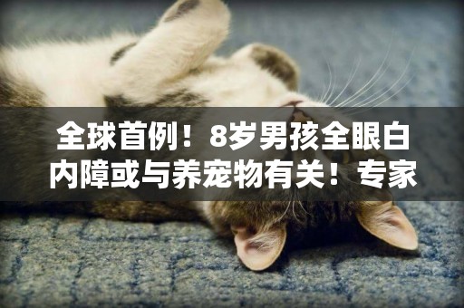 全球首例！8歲男孩全眼白內障或與養寵物有關！專家提醒：養狗家庭要特別注意 