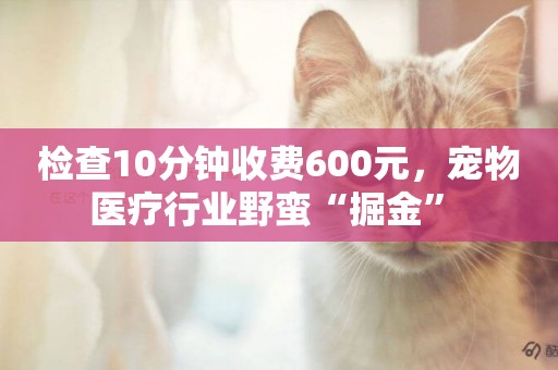 檢查10分鐘收費600元，寵物醫療行業野蠻“掘金” 