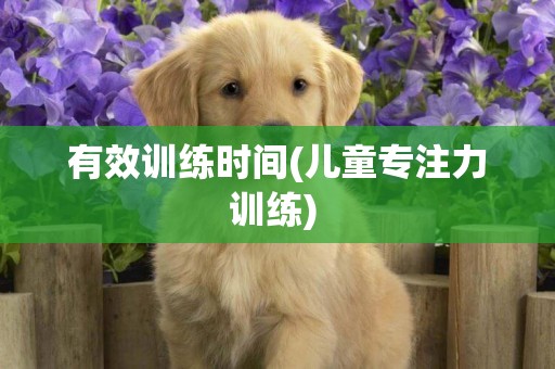 有效訓練時間(兒童專注力訓練) 