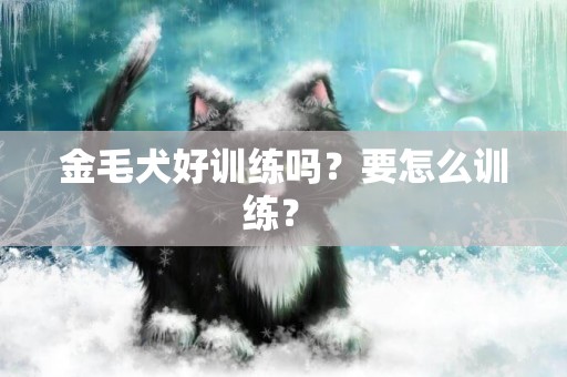 金毛犬好訓練嗎？要怎么訓練？ 