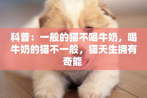 科普：一般的貓不喝牛奶，喝牛奶的貓不一般，貓天生擁有奇能 