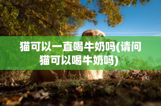 貓可以一直喝牛奶嗎(請問貓可以喝牛奶嗎) 