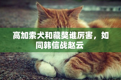 高加索犬和藏獒誰厲害，如同韓信戰趙云 