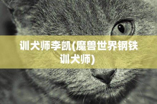 訓犬師李凱(魔獸世界鋼鐵訓犬師) 