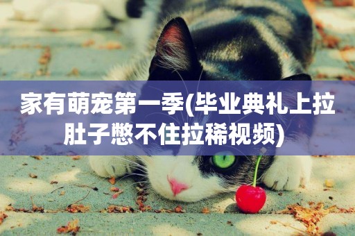 家有萌寵第一季(畢業典禮上拉肚子憋不住拉稀視頻) 