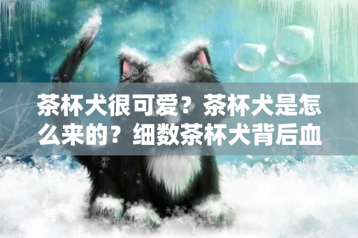 茶杯犬很可愛？茶杯犬是怎么來的？細數茶杯犬背后血淚史 