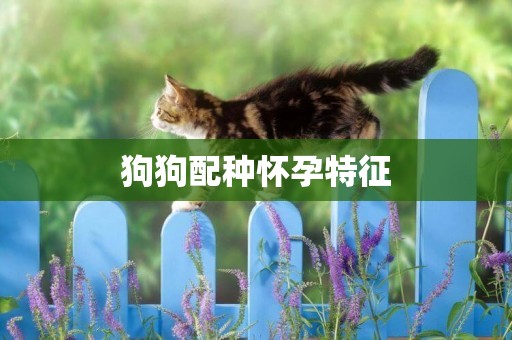 狗狗配種懷孕特征