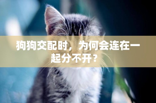 狗狗交配時，為何會連在一起分不開？ 