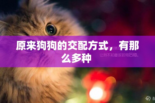 原來狗狗的交配方式，有那么多種 
