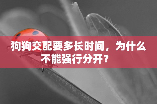 狗狗交配要多長時間，為什么不能強行分開？ 