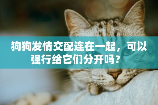 狗狗發情交配連在一起，可以強行給它們分開嗎？ 